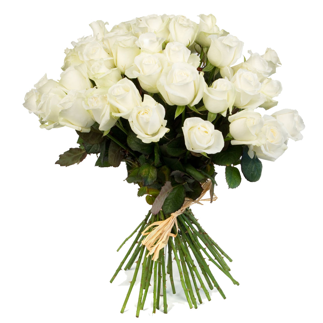 Initial Bouquet of 40 White Colombian Roses