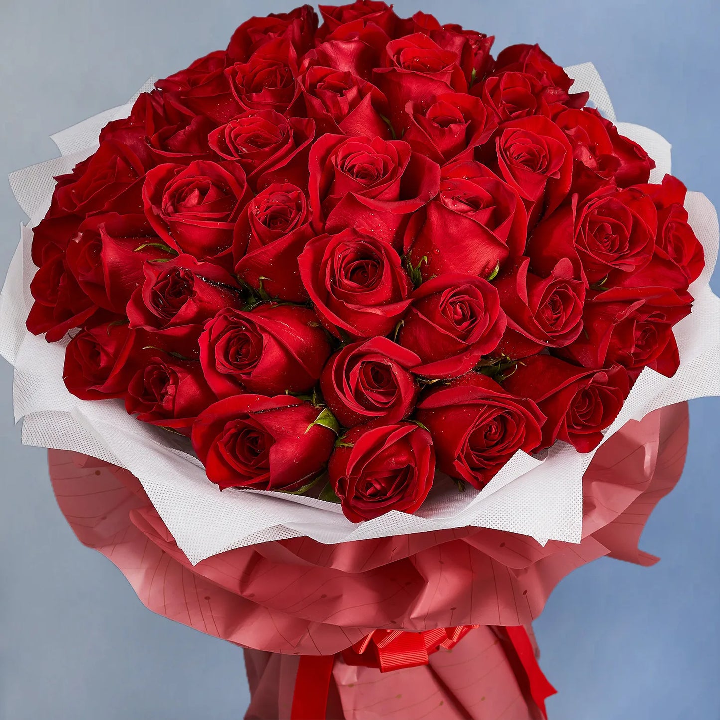 The Charm of Love: Bouquet of Fifty Colombian Red Roses
