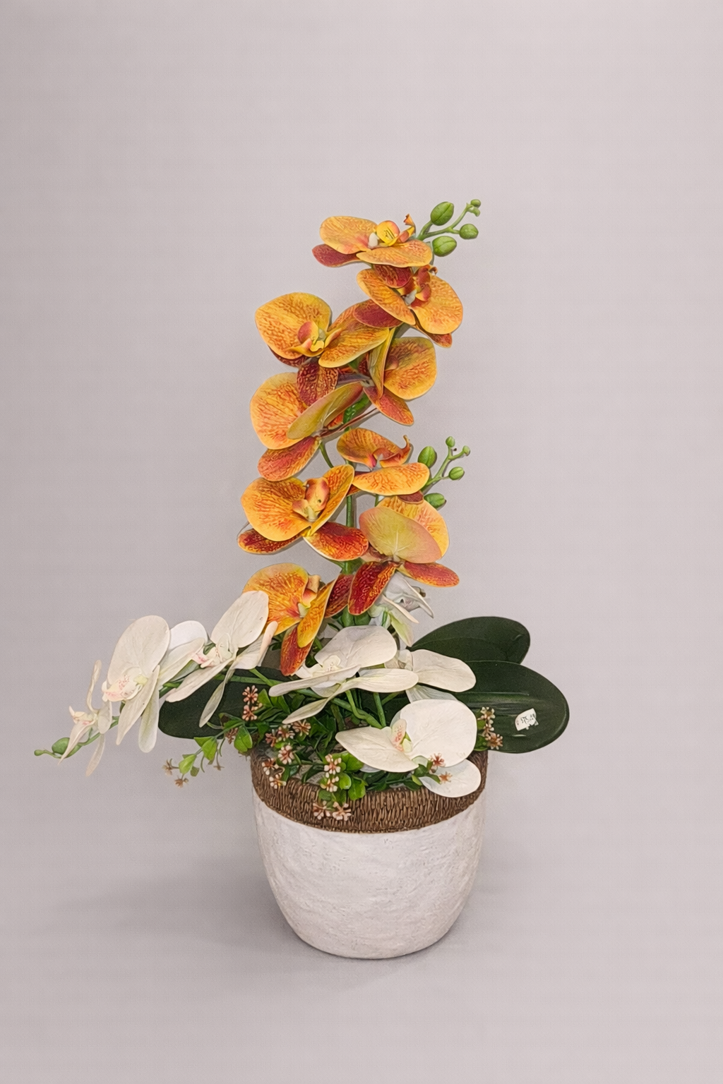 Artificial Arrangement of Tropical Orchids