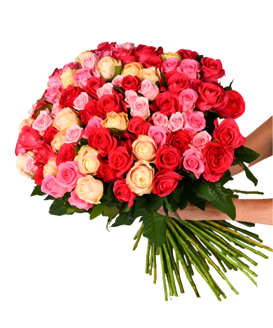 Amor Perfeito (100 Rosas Colombianas)