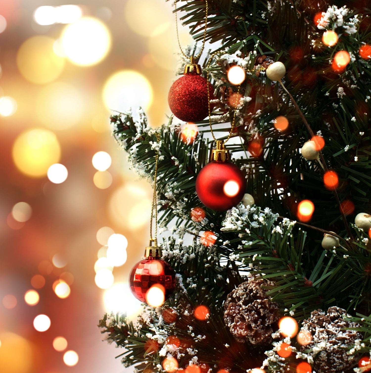 Natal