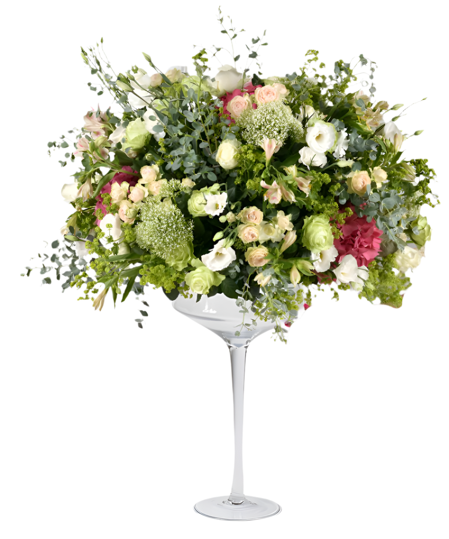 Elegância Suprema