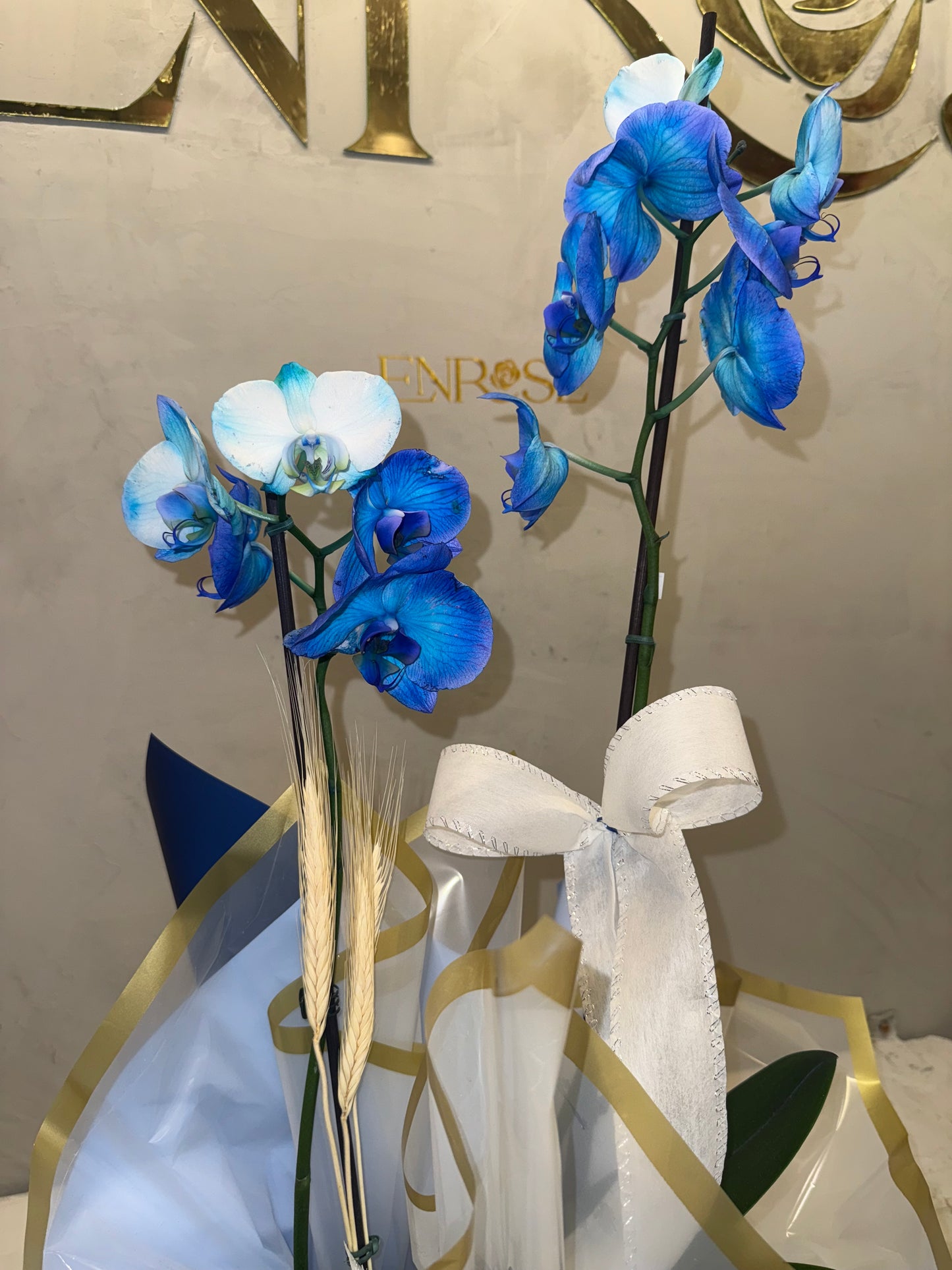 Blue Orchid with Elegant Packaging