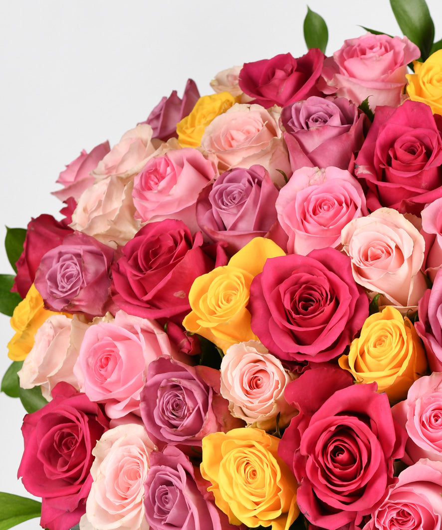 Abraços de Cores com 36 Rosas