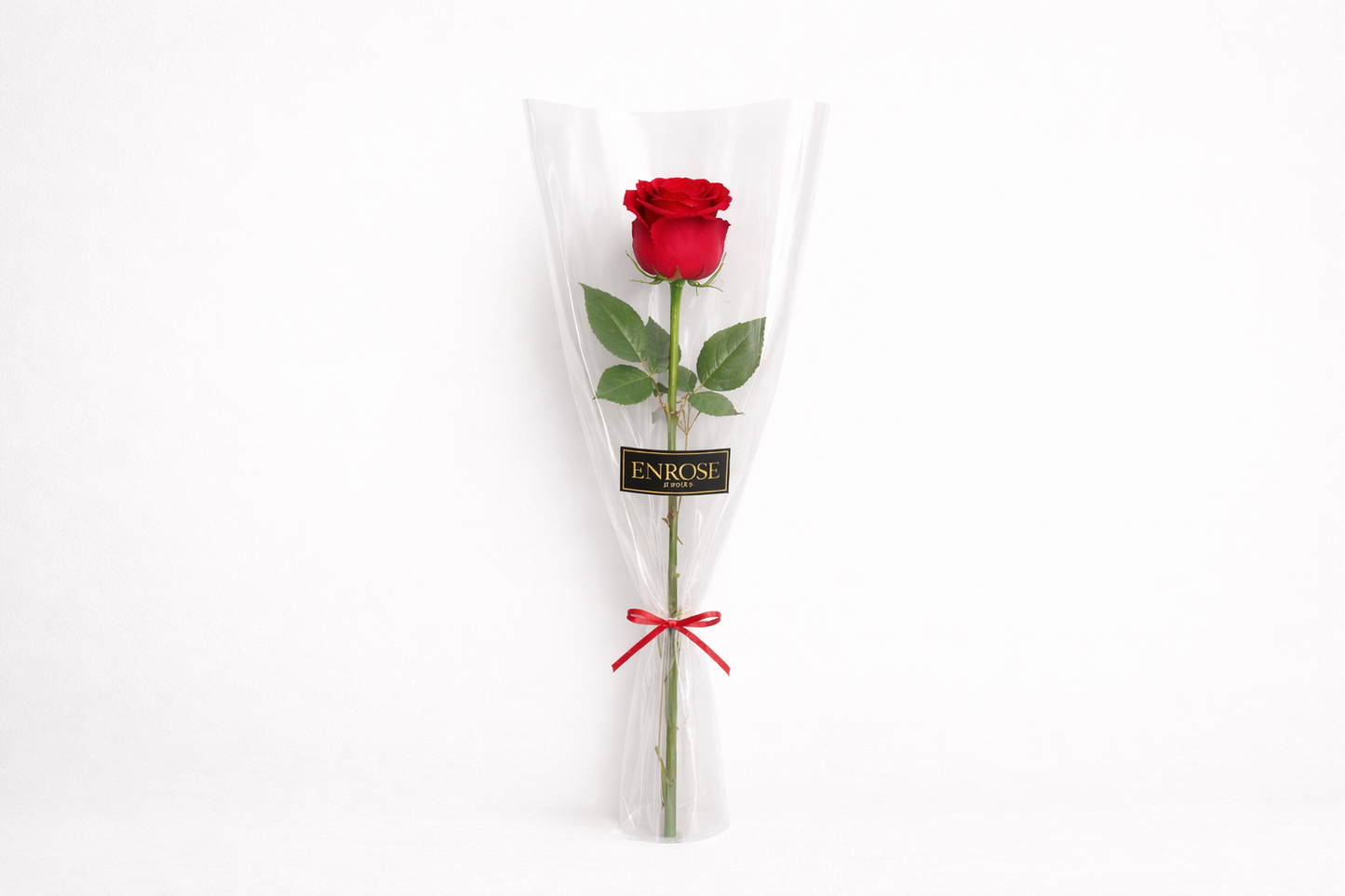 Colombian Red Rose