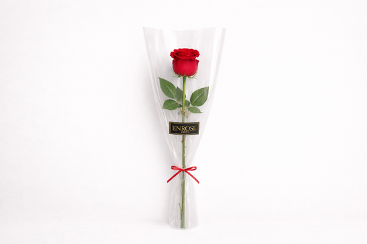 Rosa Vermelha Colombiana