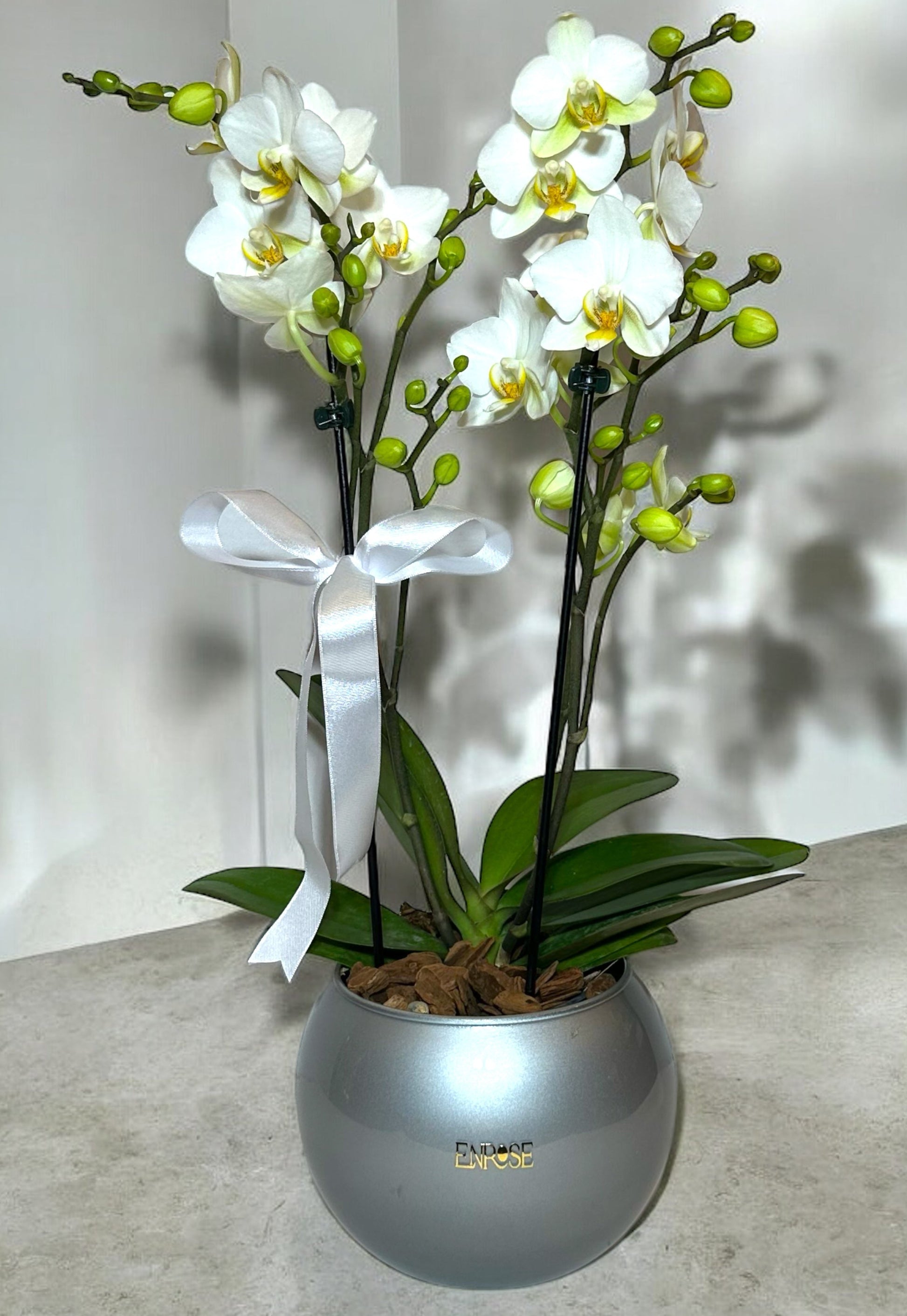 Mini Orquídeas Brancas em Vaso de Vidro Moderno