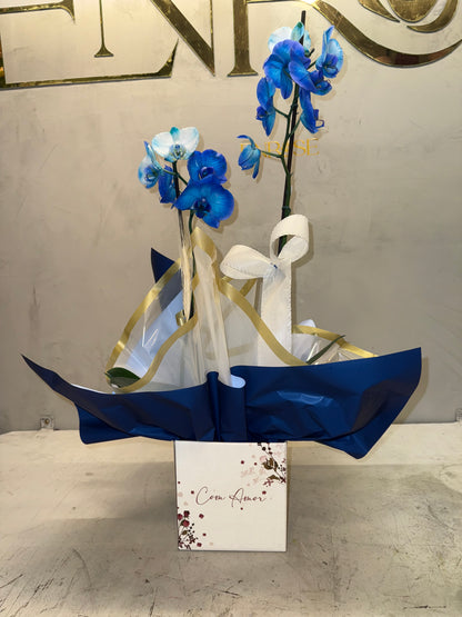 Blue Orchid with Elegant Packaging