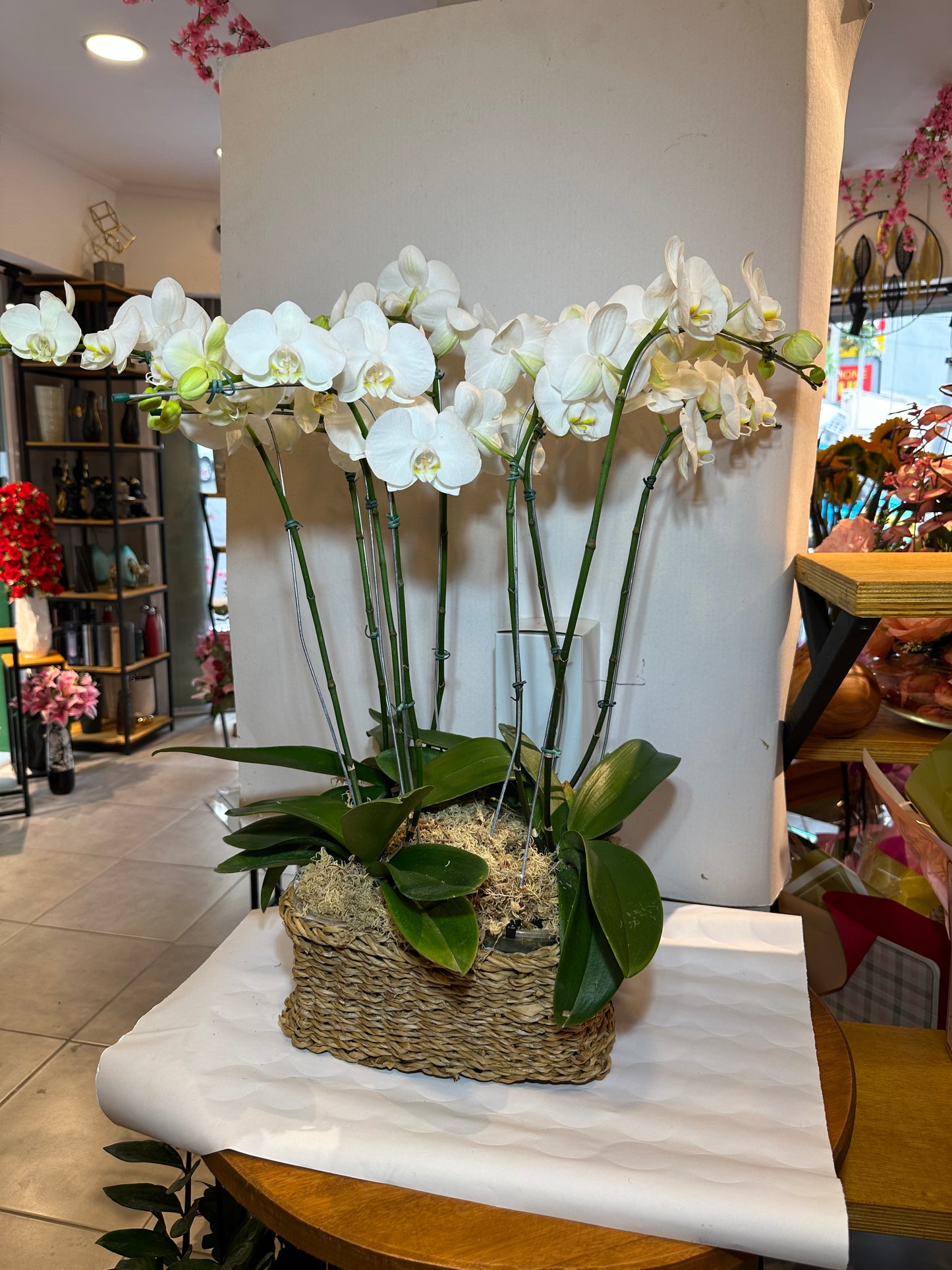 three vases with Phalaenopsis orchids