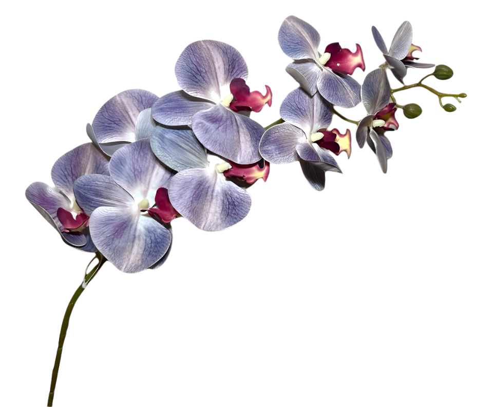 Orquídea Atificial