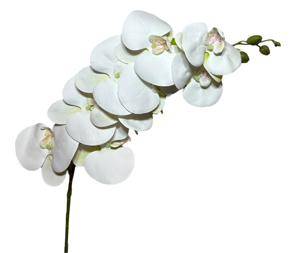 Orquídea Atificial