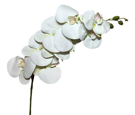 Orquídea Atificial