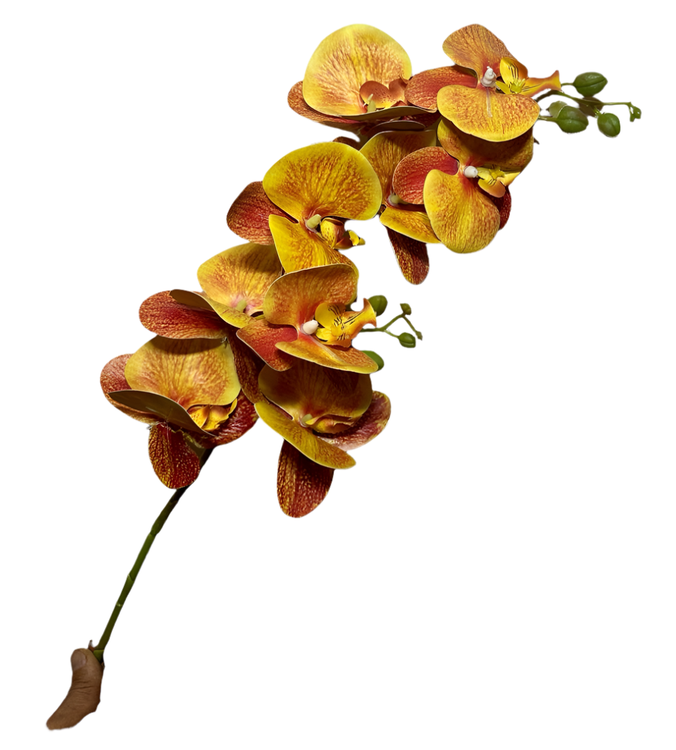 Orquídea Atificial