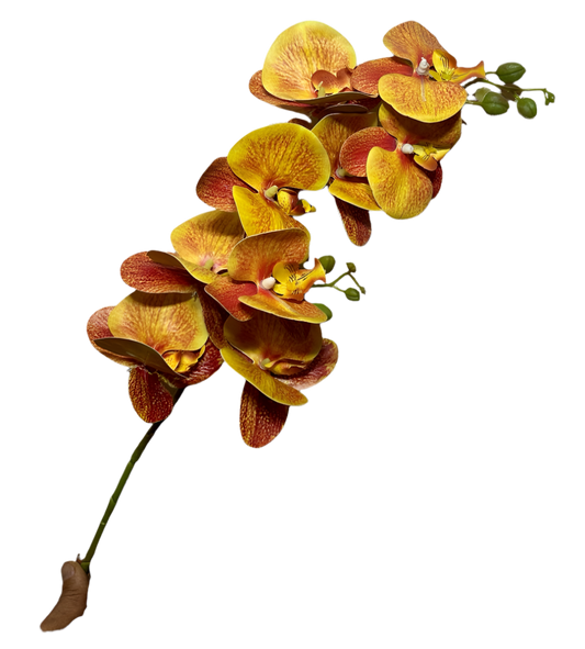 Orquídea Atificial