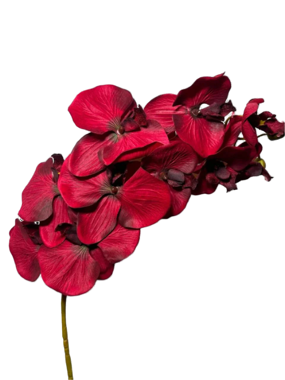 Artificial Red Orchid