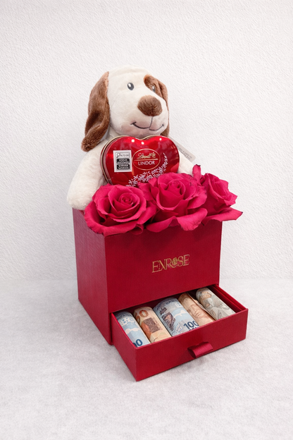 Caixa Presente com Rosas, Pelúcia, Chocolate e Dinheiro