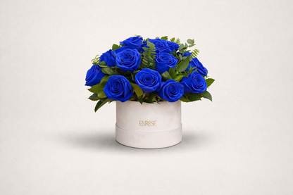 Caixa Azul Royal – 25 Rosas Azuis