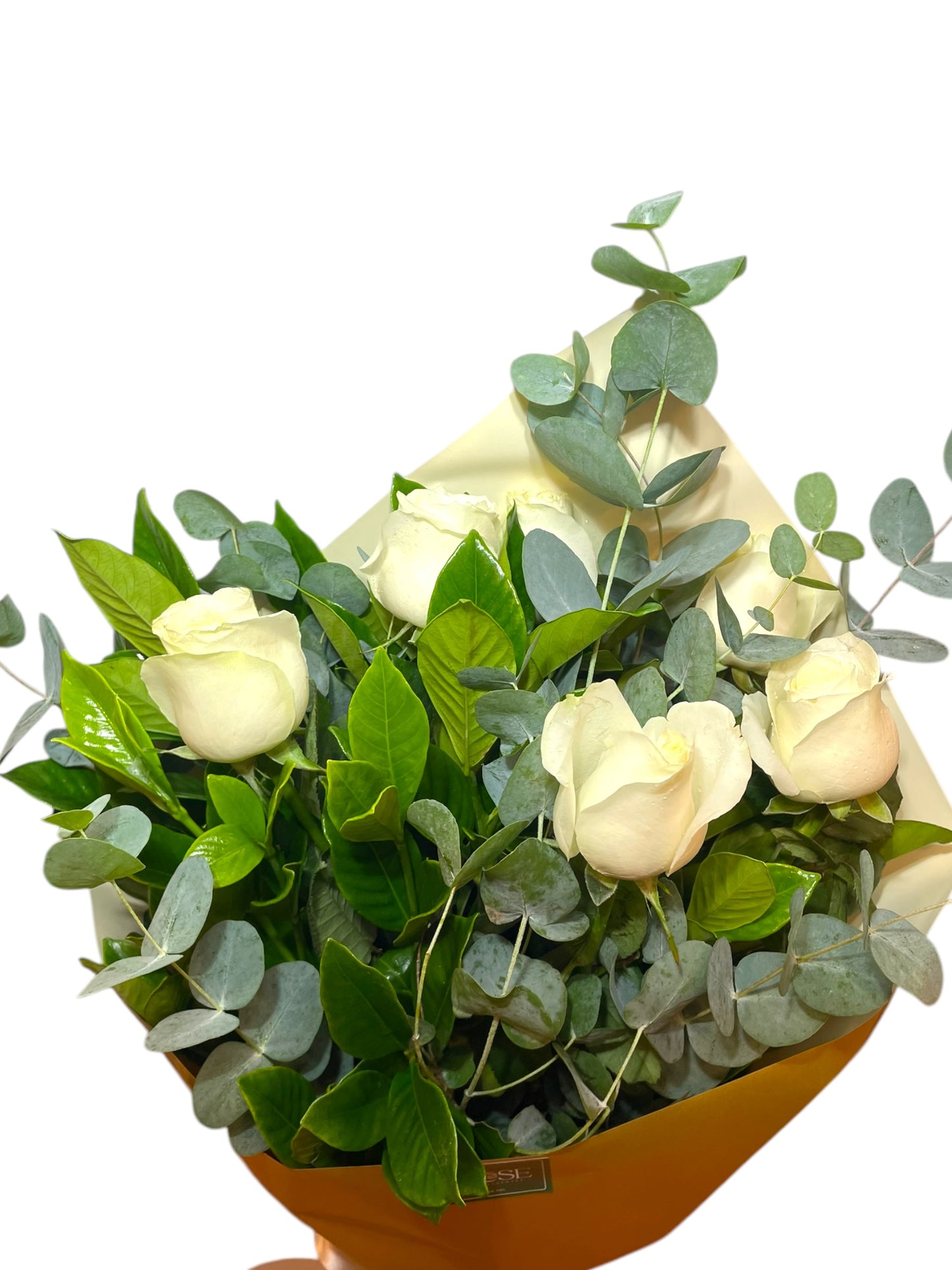 Buquê com 6 Rosas Colombianas Brancas e Eucalipto – Elegância Natural