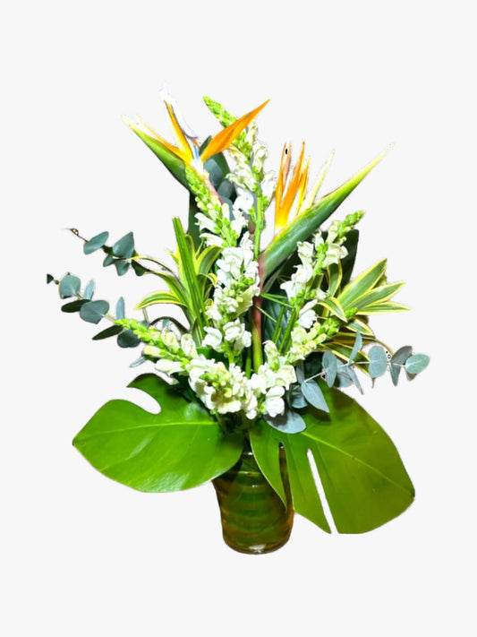 Arranjo natural Boca de Leão