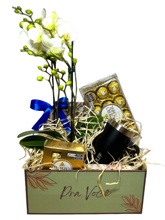 Cesta de Presentes com Orquídea Branca