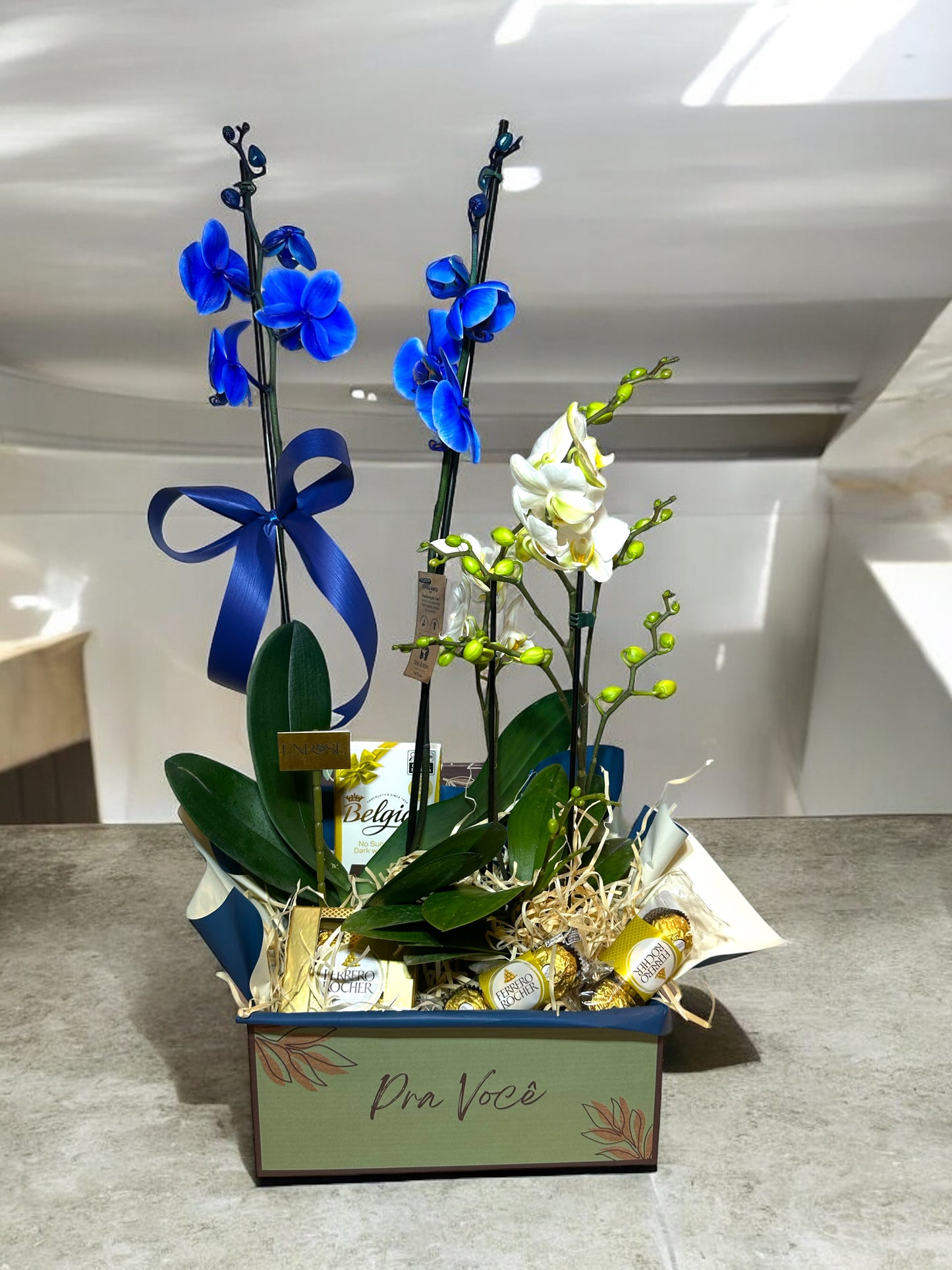 Flores com Chocolate: Cesta de Orquídeas