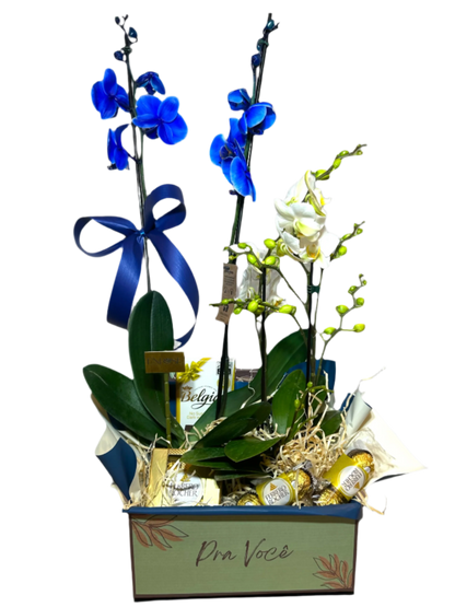 Flores com Chocolate: Cesta de Orquídeas