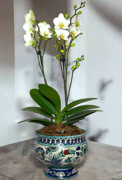 Royal Orchid in Antique Damascene Vase
