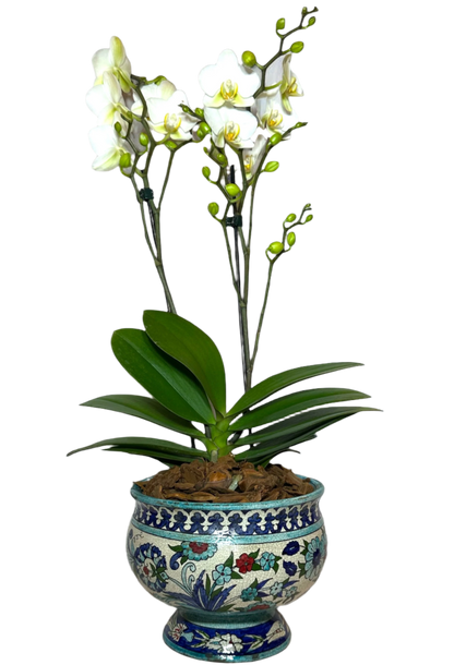 Royal Orchid in Antique Damascene Vase