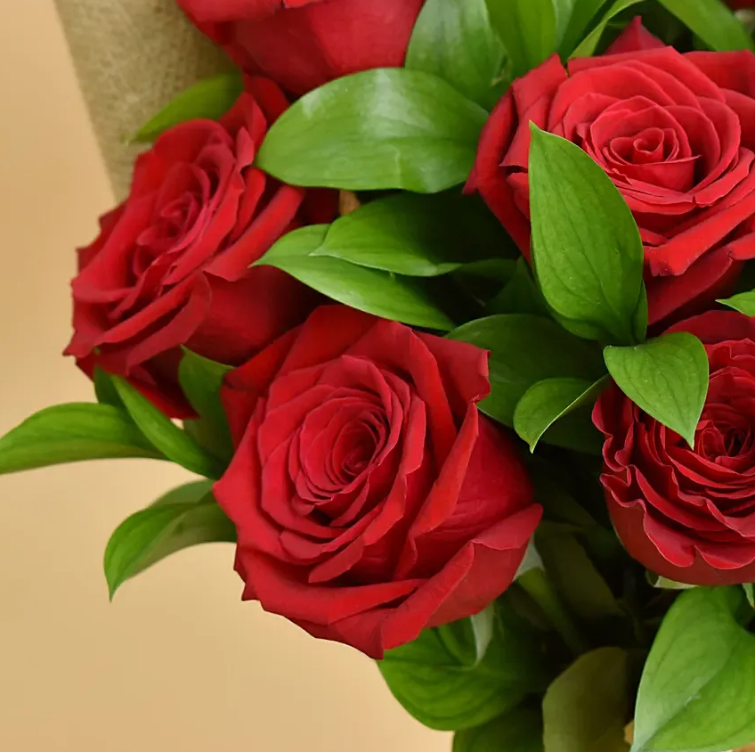 Buquê de 12 Rosas Vermelhas Clássicas - Beleza e Romance