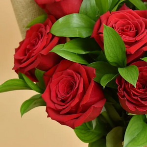 Buquê de 12 Rosas Vermelhas Clássicas - Beleza e Romance