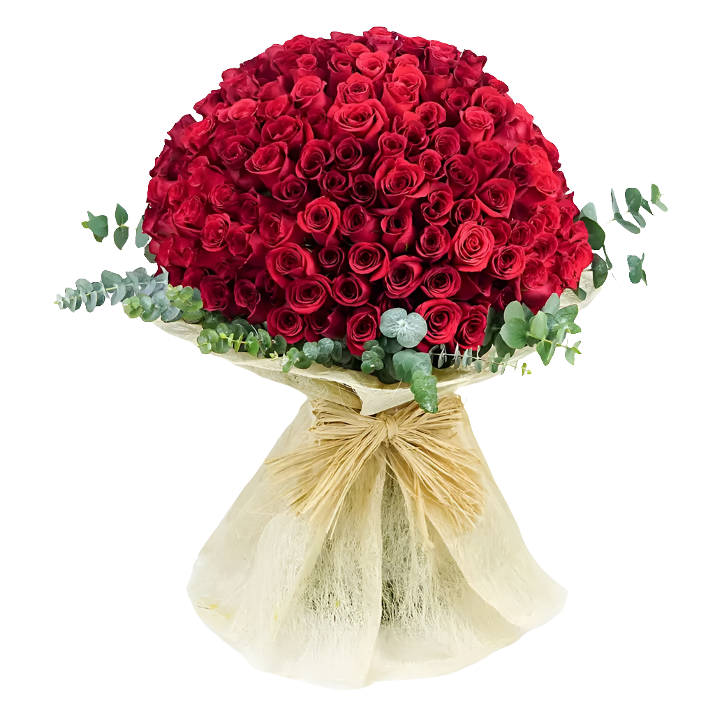 Paixão Floral Buquê Vermelho com 200 Rosas Colombianas