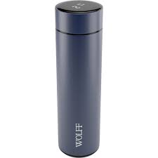 Stainless Steel Thermos Bottle with LED Thermometer