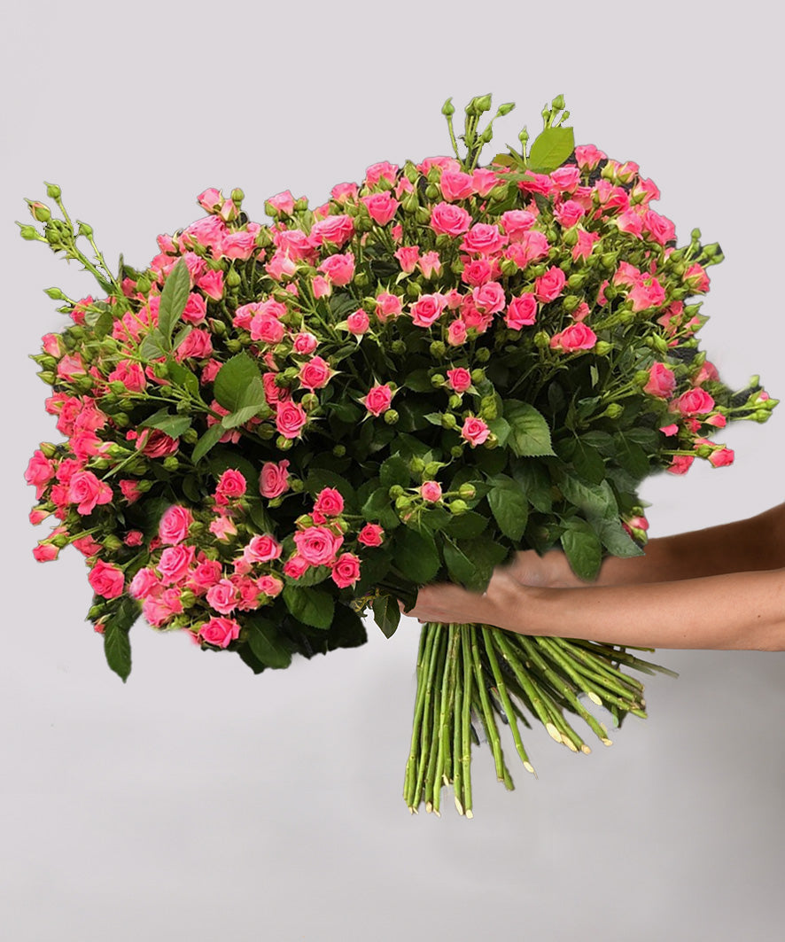 Delicate Charm (Baby Pink)