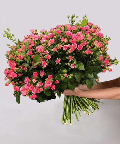 Delicate Charm (Baby Pink)