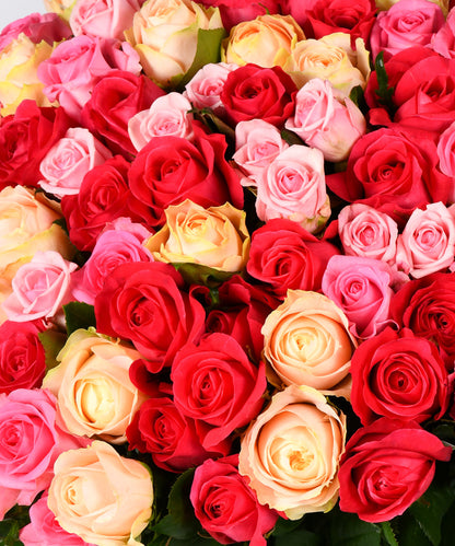 Amor Perfeito (100 Rosas Colombianas)