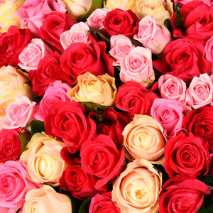 Amor Perfeito (100 Rosas)