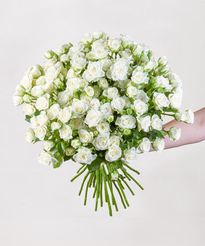 Absolute Purity with 100 Mini Roses