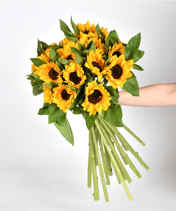 Glow of Hope and Energy