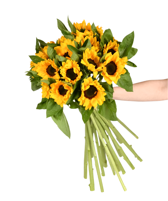 Glow of Hope and Energy