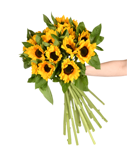 Glow of Hope and Energy